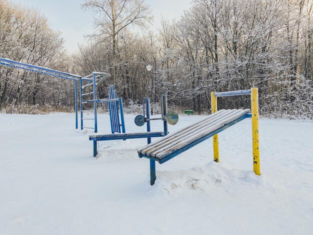 Pôr do sol de inverno no parque coberto de neve Temporada e conceito de clima frio