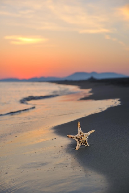 pôr do sol de praia de verão com estrela na praia representando frescuras de liberdade e conceito de viagens