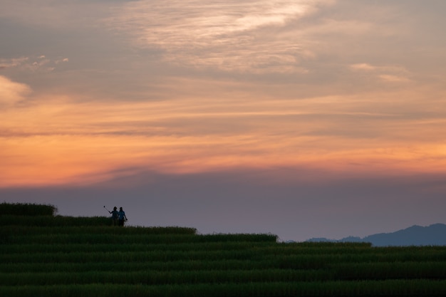 Foto pôr do sol de terraços em chiangmai