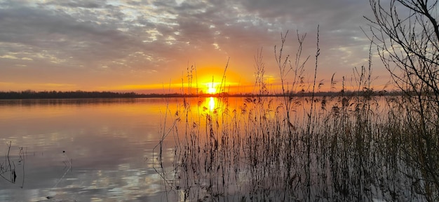 Pôr do sol de verão Andscape no lago.