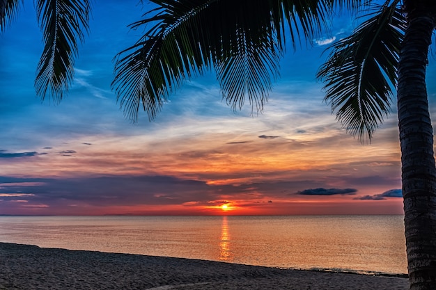 Pôr do sol e palmas das mãos - fundo da natureza.