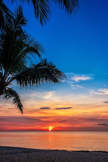 Pôr do sol e palmas das mãos - fundo da natureza.