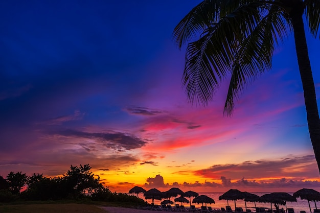 Pôr do sol e palmas das mãos - fundo da natureza.