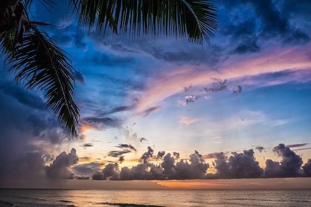 Pôr do sol e palmas das mãos - fundo da natureza.