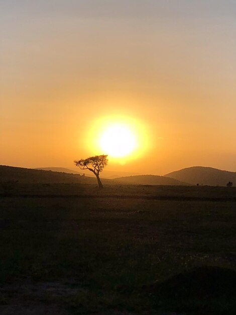 Foto pôr-do-sol em áfrica