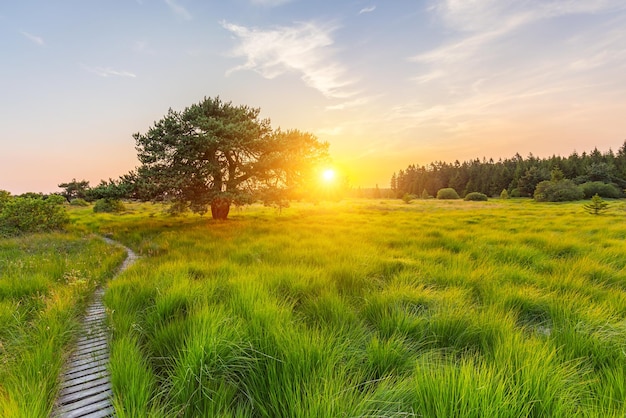 Pôr do sol em Hautes Fagnes