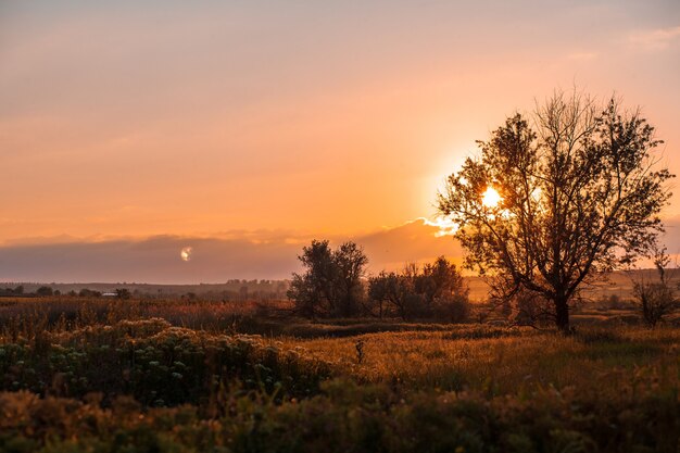 Pôr do sol em paisagens rurais rurais