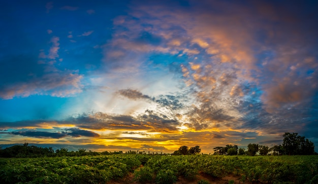 Pôr do sol em terras agrícolas