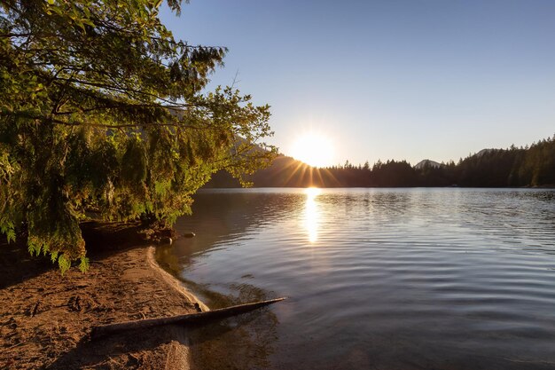 Pôr do sol ensolarado sobre a paisagem natural canadense hicks lake sasquatch provincial park