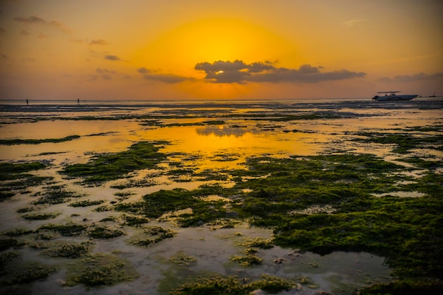 Pôr do sol espetacular de Zanzibar. Belo pôr do sol durante a maré baixa na praia da vila de Kizimkazi, Zan