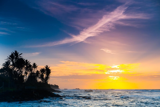 Pôr do sol extremamente bonito sob os coqueiros na praia de Sri Lanka