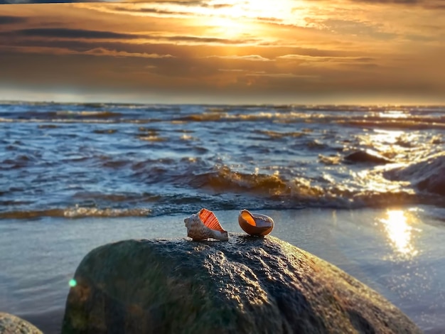 pôr do sol laranja dourado dramático céu nublado à noite e reflexão de ondas de água do mar