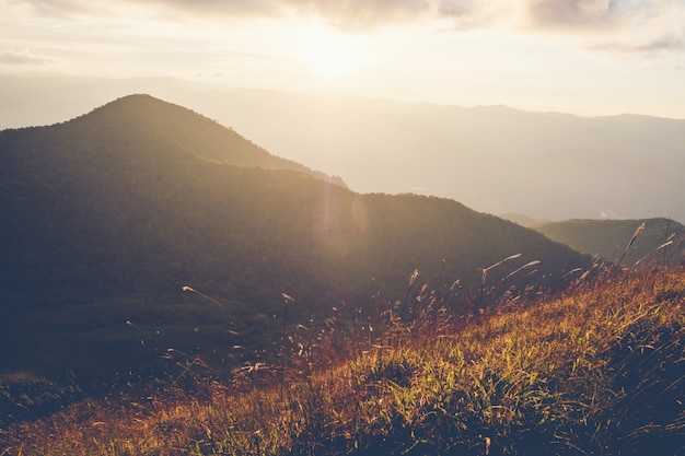 Pôr do sol montanhosa e paisagem da floresta