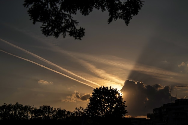 Foto pôr do sol na folhagem