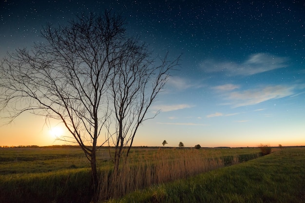 Pôr do sol na paisagem rural com céu estrelado