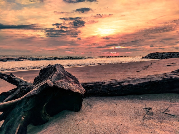 Pôr do sol na praia com velho tronco de árvore