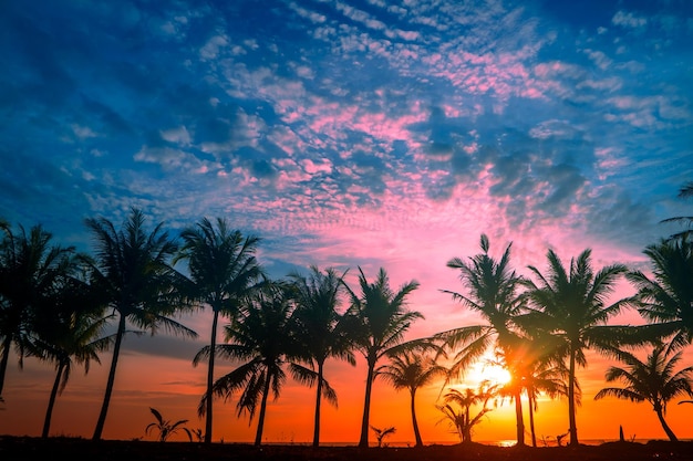 Pôr do sol na praia tropical com palmeiras