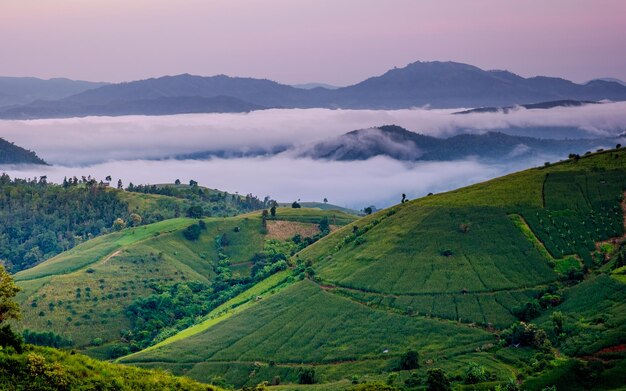 Pôr-do-sol nas montanhas com verde Terraced Rice Field em Chiangmai Tailândia