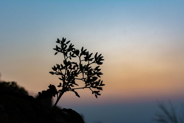 Foto pôr do sol nas montanhas do norte da tailândia