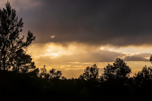 Pôr do sol nas montanhas entre os pinheiros em um dia com nuvens.