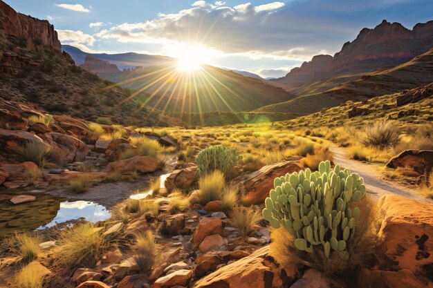 Pôr-do-sol no deserto