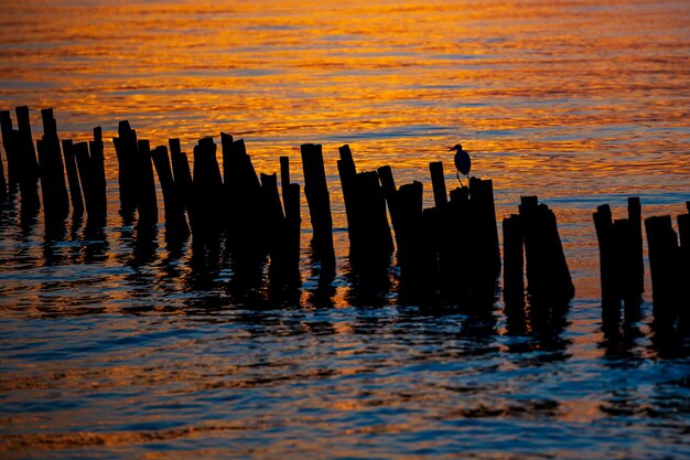 Pôr do sol no mar Bangpu Recreation Center