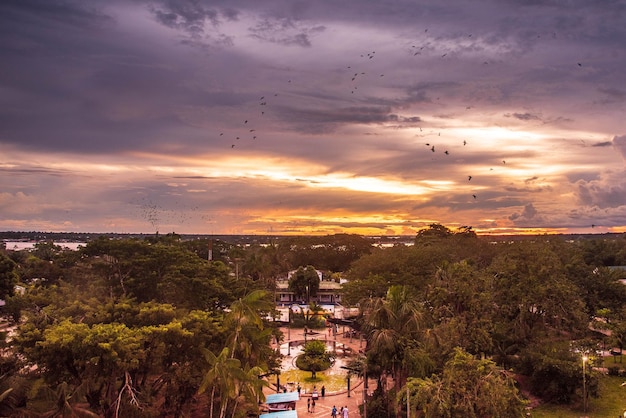 Foto pôr do sol no parque e rio da amazônia colombiana.