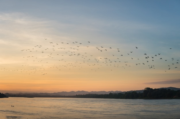 Pôr do sol no rio