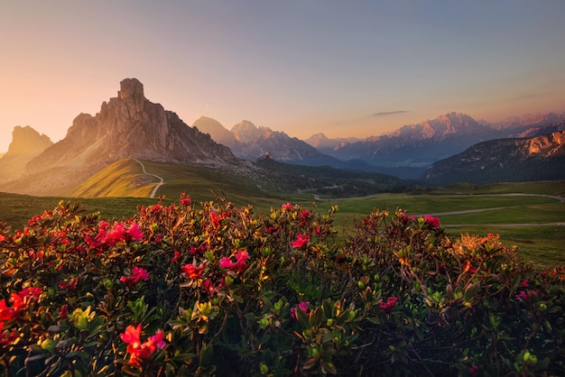 Pôr do sol no verão no passo di giau com flores nas dolomitas itália