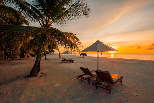 Pôr do sol praia refúgio casal destino cênico lua de mel papel de parede Palmeira céu idílico mar areia