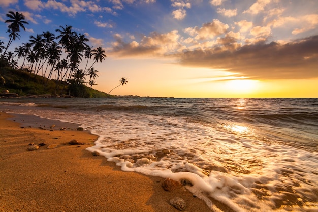 Pôr do sol romântico em uma praia tropical com palmeiras