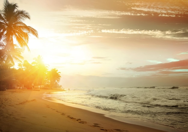 Pôr do sol rosa na praia do Oceano Índico