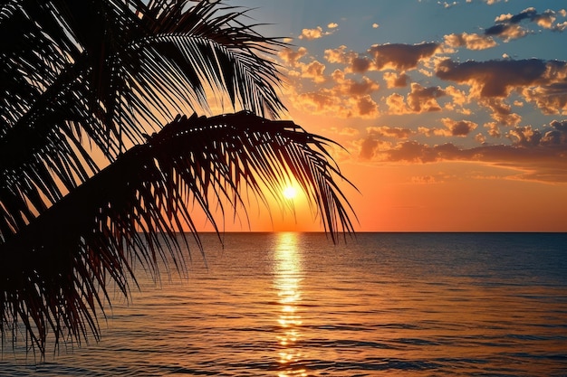 Pôr-do-sol sereno Divirta-se com a beleza tranquila dos pôr-dos-sol enquanto o céu é pintado com tons quentes lançando um brilho hipnotizante no horizonte