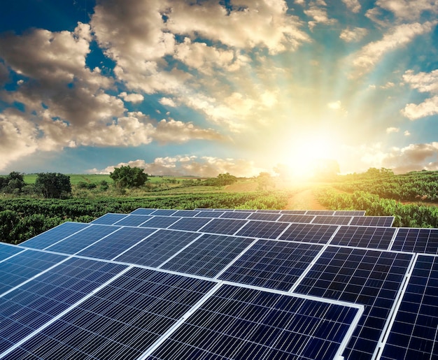 Foto pôr do sol sobre a planta de fazenda de energia solar