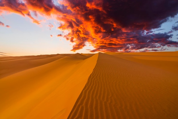 Pôr do sol sobre as dunas de areia no deserto Paisagem árida do deserto do Saara