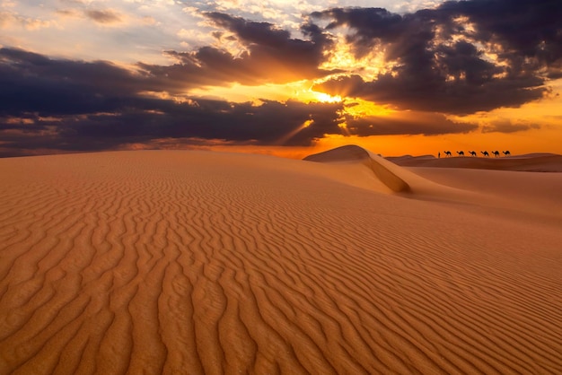 Pôr do sol sobre as dunas de areia no deserto paisagem árida do deserto do saara