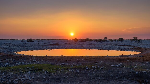 Pôr do sol sobre o charco de Okaukuejo Camp em Etosha Namíbia