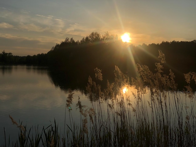 Foto pôr-do-sol sobre o lago com o sol a pôr-se atrás dele