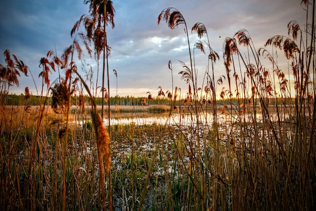 Pôr do sol sobre um lago natural limpo