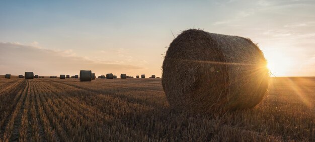 Pôr do sol sobre uma paisagem com fardos de feno. ideal para layouts de sites e revistas