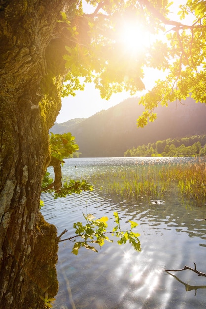 Pôr do sol tranquilo no lago lago thumsee alemanha