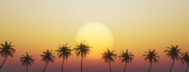 pôr-do-sol tropical com palmeiras