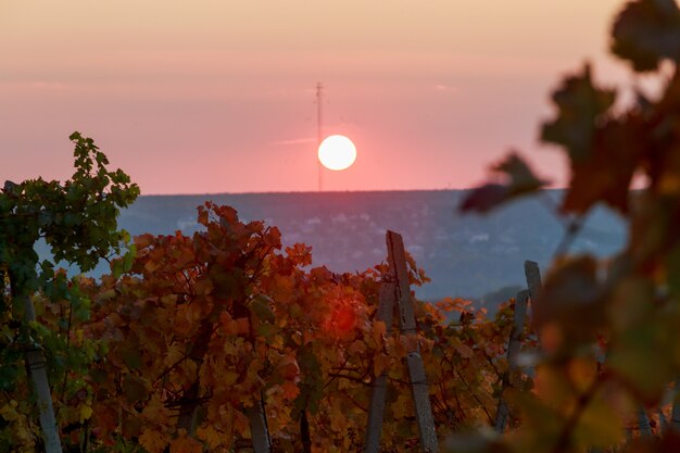 Por do sol vermelho do céu com sol brilhante