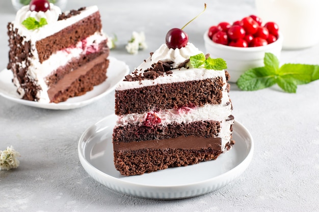 Porção de bolo cremoso de frutas em camadas com vista de perto. bolo de cereja com chocolate. bolo de chocolate. decoração de menta. ainda vida de comida. bolo floresta negra