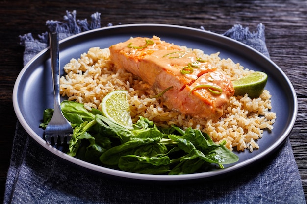 Porção de Salmão cozido com arroz e verduras