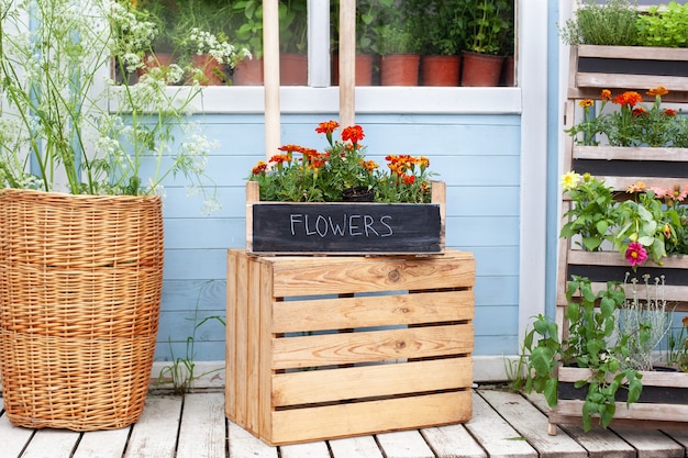 Porche de madera exterior de la casa con plantas verdes, hierbas y flores en caja Blooming orange Tagetes