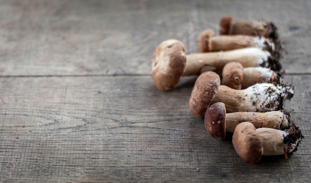 Porcini-Pilz auf Holzhintergrund