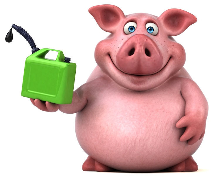 Foto porco divertido - ilustração 3d