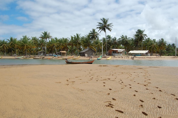 Foto port_ponta dos mangues sergipe brasilien