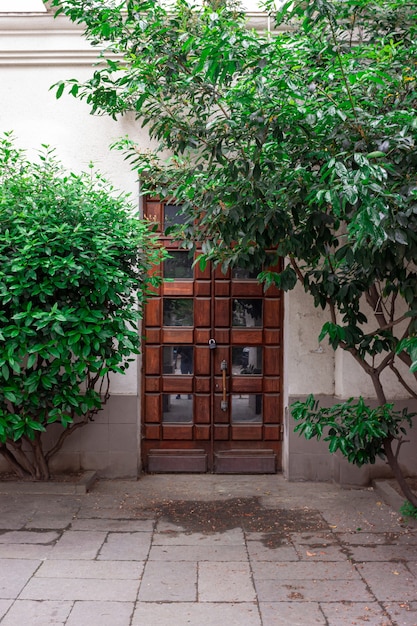 Porta de madeira velha, porta fechada, porta ao lado da árvore